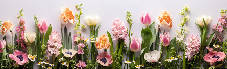 Spring flowers on pastel colored background
