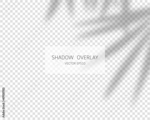 Shadow overlay effect. Natural shadows isolated on transparent background. Vector illustration.  