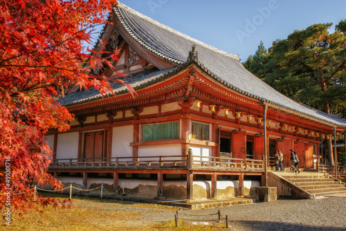 秋の京都、醍醐寺の金堂と紅葉が美しい風景です