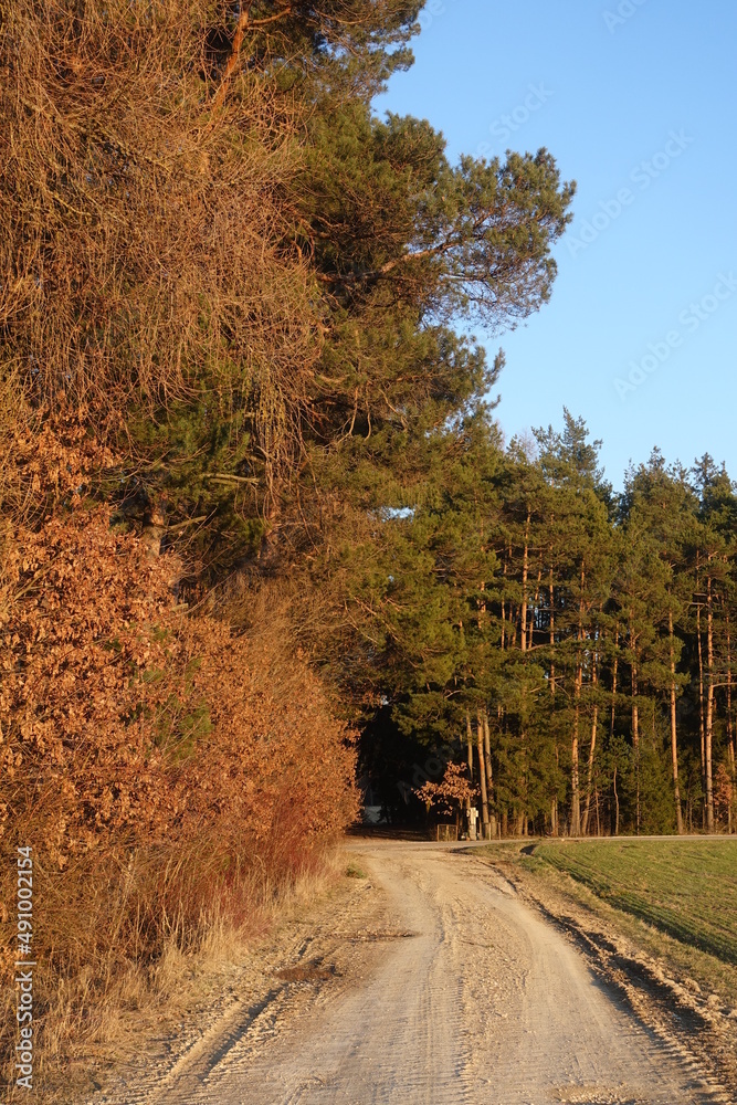 Fototapeta premium Landschaft in Donau-Ries