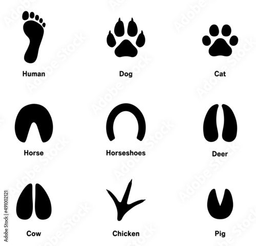 動物の足跡アイコンセット