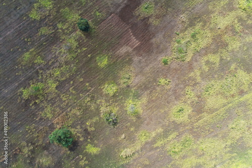 Aerial view of summer field grassland
