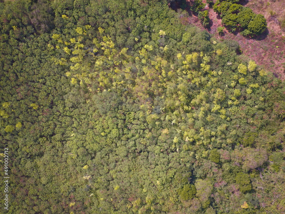 Aerial view of summer field grassland 