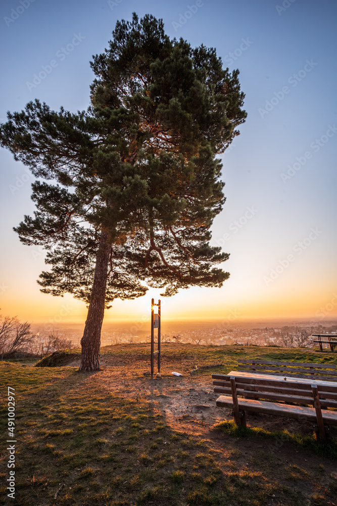 sunrise in the park