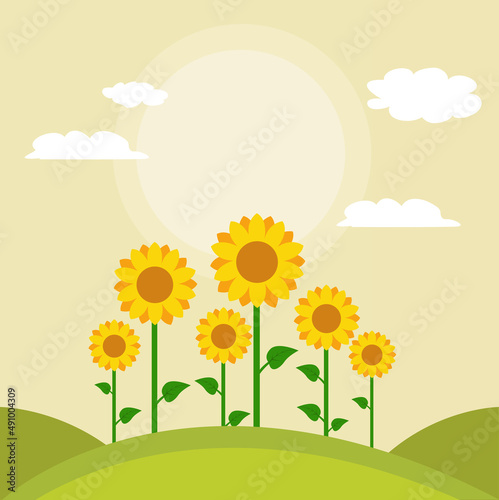 Sunflowers vector illustration design
