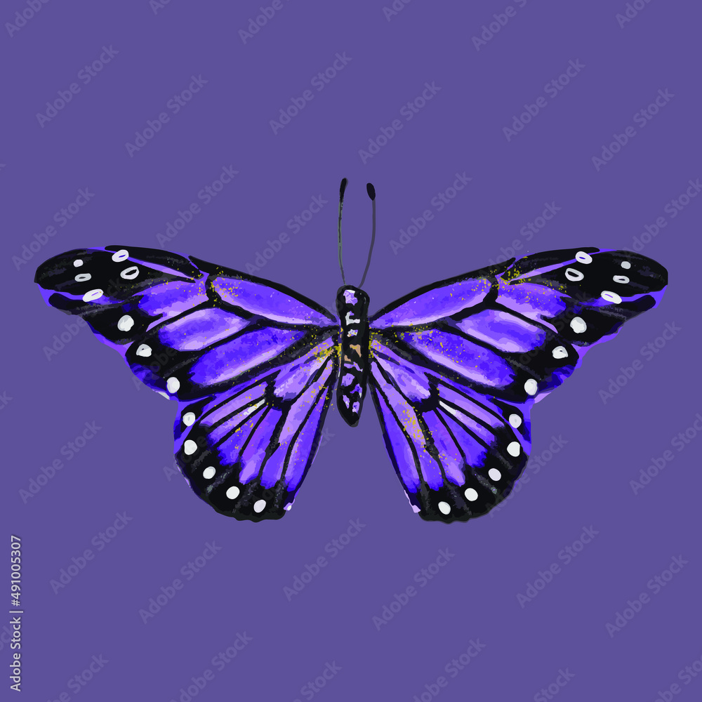 Obraz premium Colored butterfly. Beautiful insect - Vector illustration