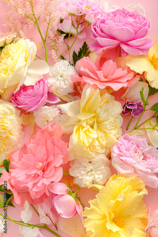 summer flowes and leaves, top view summer flowes and leaves, top view