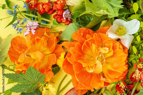 spring flowers and leaves on the yellow background