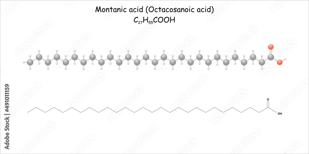 Stylized molecule model/structural formula of the unsaturated fatty