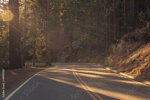 Autumnal natural landscape from Yosemite National Park, California, United States