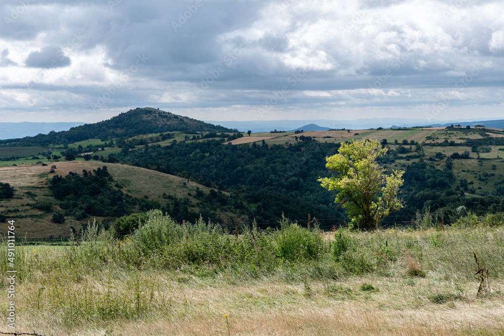 Panorama sur les monts d'Auvergne sur le chemin de randonnée des pierres levées à Cournols par une journée de fin d'été