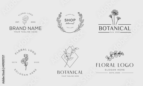 Botanical Floral element Hand Drawn Logo with Wild Flower and Leaves. Logo for spa and beauty salon  boutique  organic shop  wedding  floral designer  interior  photography  cosmetic.