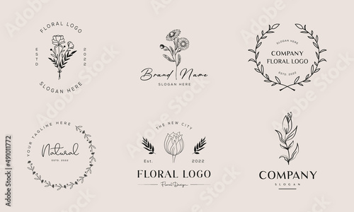 Botanical Floral element Hand Drawn Logo with Wild Flower and Leaves. Logo for spa and beauty salon, boutique, organic shop, wedding, floral designer, interior, photography, cosmetic.