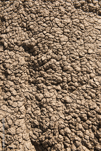 Dry cracked earth. Climate change background