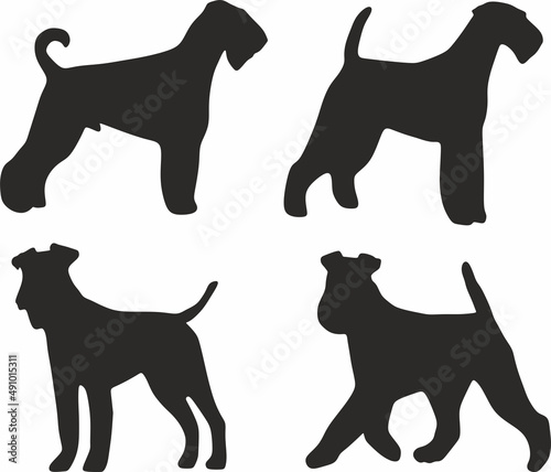 Vector set of Airedale Terrier dog silhouettes. Shadows of pets, mammals.
