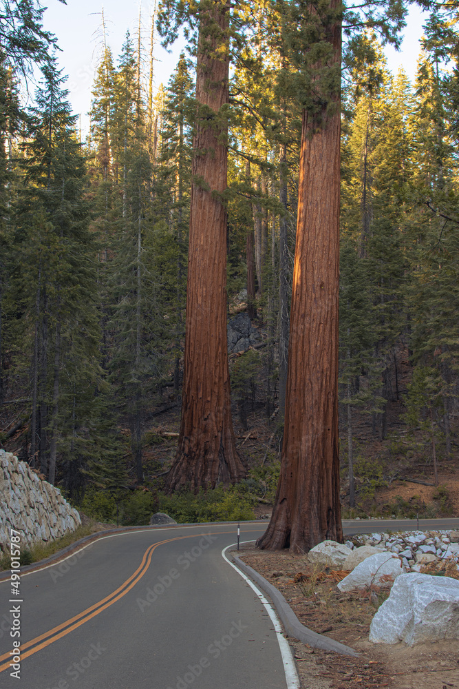 Autumnal natural landscape from Yosemite National Park, California, United States