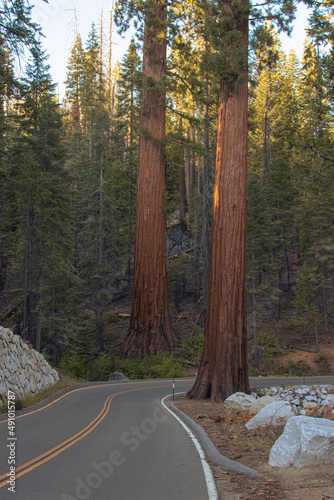 Obraz na płótnie Autumnal natural landscape from Yosemite National Park, California, United States w salonie