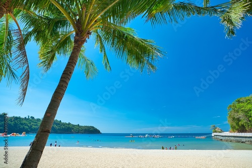 Fototapeta Naklejka Na Ścianę i Meble -  Palm tree in sunny blue sky landscape view of beach resort area on white sand in Philippines