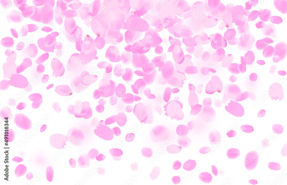 Sakura petals falling vector background. Pink flower petals illustration isolated on white.