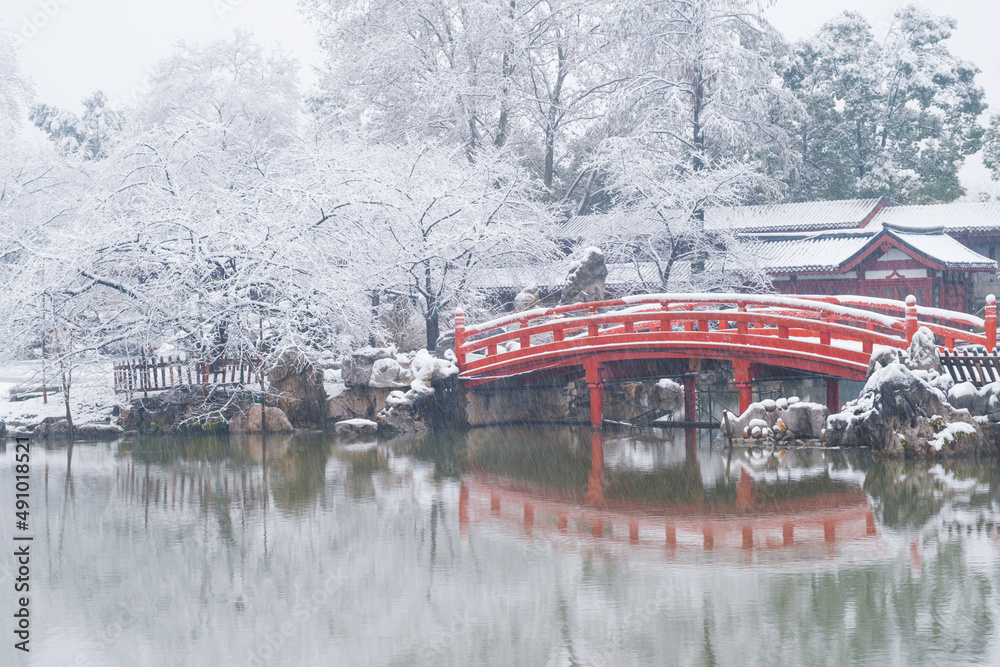 Winter Snow Scenery in Cherry Blossom Garden in East Lake Scenic Area, Wuhan, Hubei Winter Snow Scenery in Cherry Blossom Garden in East Lake Scenic Area, Wuhan, Hubei