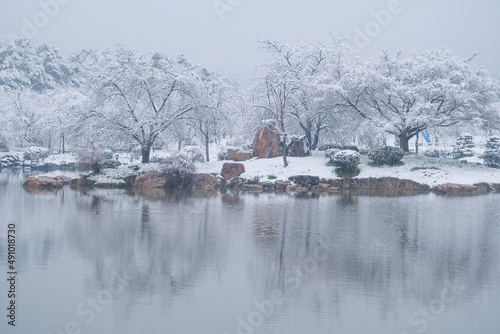 Winter Snow Scenery in Cherry Blossom Garden in East Lake Scenic Area, Wuhan, Hubei © Hao