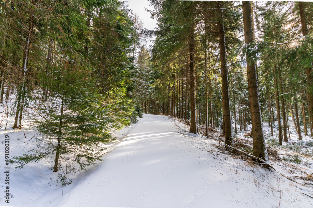 A snowy forest path in winter in the Erzgebirge in Germany A snowy forest path in winter in the Erzgebirge in Germany