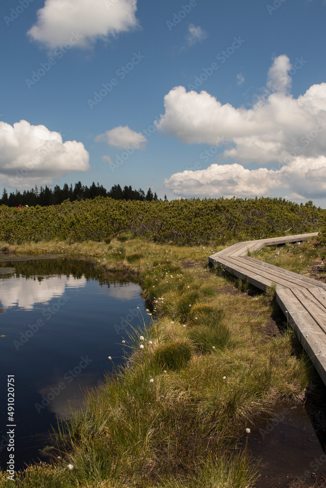 Wooden path and one of the small lakes that are part of the  nature park Lovrenška jezera near Rogla in Slovenia