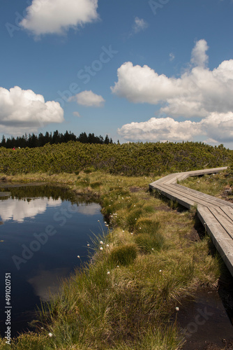 Wooden path and one of the small lakes that are part of the nature park Lovrenška jezera near Rogla in Slovenia