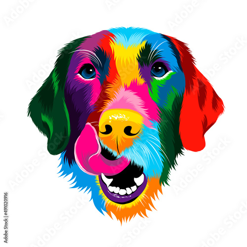 Abstract portrait of the head of a Labrador retriever from multicolored paints. Colored drawing. Puppy muzzle portrait, dog muzzle. Vector illustration of paints