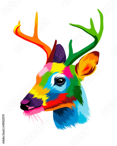 Abstract deer head portrait, cervus elaphus, dama dama from multicolored paints. Colored drawing. Vector illustration of paints