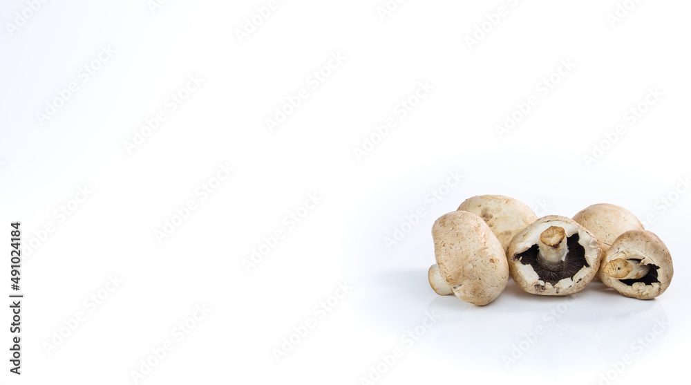 Weiße Champignons / Pilze / Speisepilze (rechts im Bild)