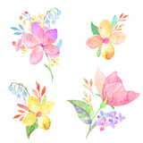 Set of watercolor illustrations with summer flower scape, sheets, bouquets. Hand-drawn bloom wildflowers, lilies of the valley, apple blossom, celandine flowers isolated on white background
