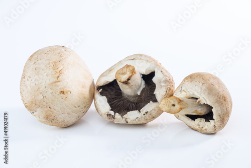 Drei Pilze / Weiße Champignons auf einem hellen weißen Hintergrund