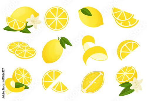 Lemon . Cartoon citrus peel slice half and zest, sour lemonade ingredients. Vector isolated set