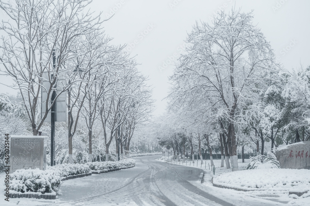 Winter snow scene in Moshan Scenic Area, East Lake, Wuhan, Hubei Winter snow scene in Moshan Scenic Area, East Lake, Wuhan, Hubei