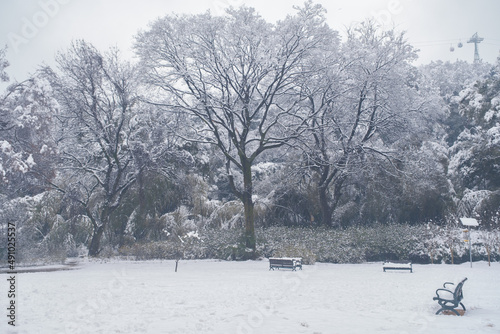 Winter snow scene in Moshan Scenic Area  East Lake  Wuhan  Hubei