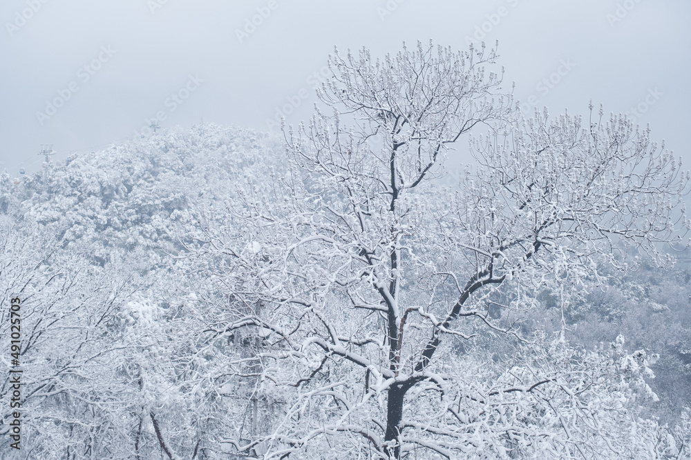 Winter snow scene in Moshan Scenic Area, East Lake, Wuhan, Hubei Winter snow scene in Moshan Scenic Area, East Lake, Wuhan, Hubei
