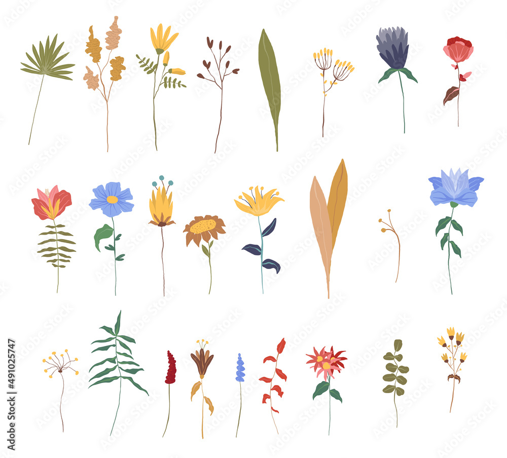 Set of hand drawn colorful flowers, branches, leaves and other floral decorations. Elegant spring vector illustrations.