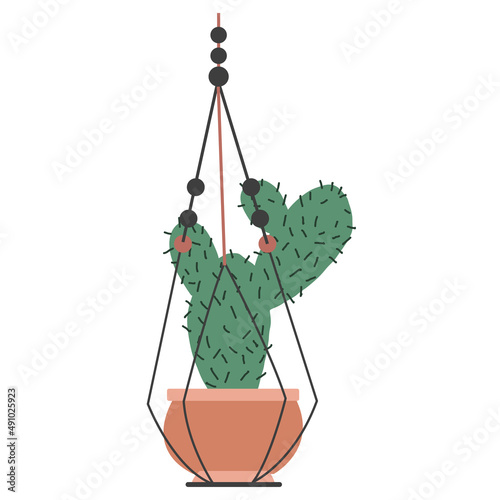 Plant in hanging pots. Decorative indoor plants, macrame flower pots, home potted plants vector illustration icons set. Handmade hangers for flower decoration.