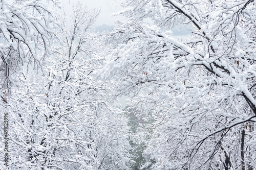 Winter snow scene in Moshan Scenic Area, East Lake, Wuhan, Hubei