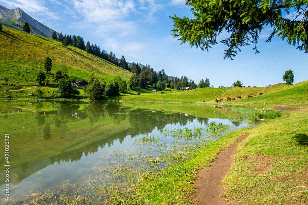 Lake of the Confins and Mountain landscape in La Clusaz, France