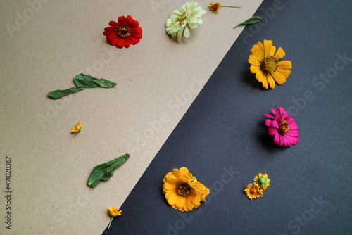 Beautiful flower flat lay arrangement on black and brown background. Flat lay bouquet, top view, overhead, empty space for copied text.