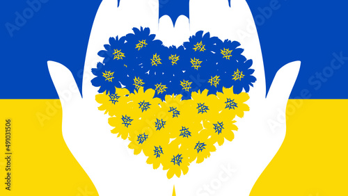 A pair of hands is holding blue and yellow little flowers and with the color of Ukrainian flag as background, symbolizing pray for Ukraine. Vector.