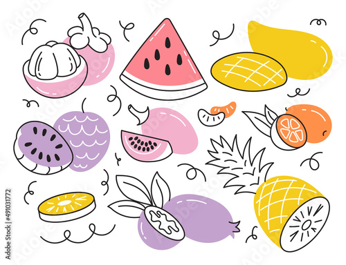 Fototapeta Naklejka Na Ścianę i Meble -  A set of illustrations of tropical exotic and garden fruits. Doodles,cartoon isolated on a white background.