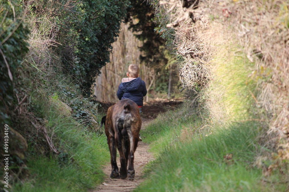 enfant dans ala nature avec son chien cane corso enfant dans ala nature avec son chien cane corso