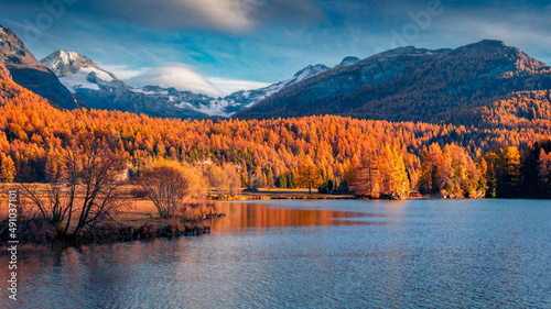 Astonishing autumn scene of Sils Lake/Silsersee. Colorful morning view of Swiss Alps, Maloja Region, Upper Engadine, Switzerpand, Europe. Beauty of nature concept background.