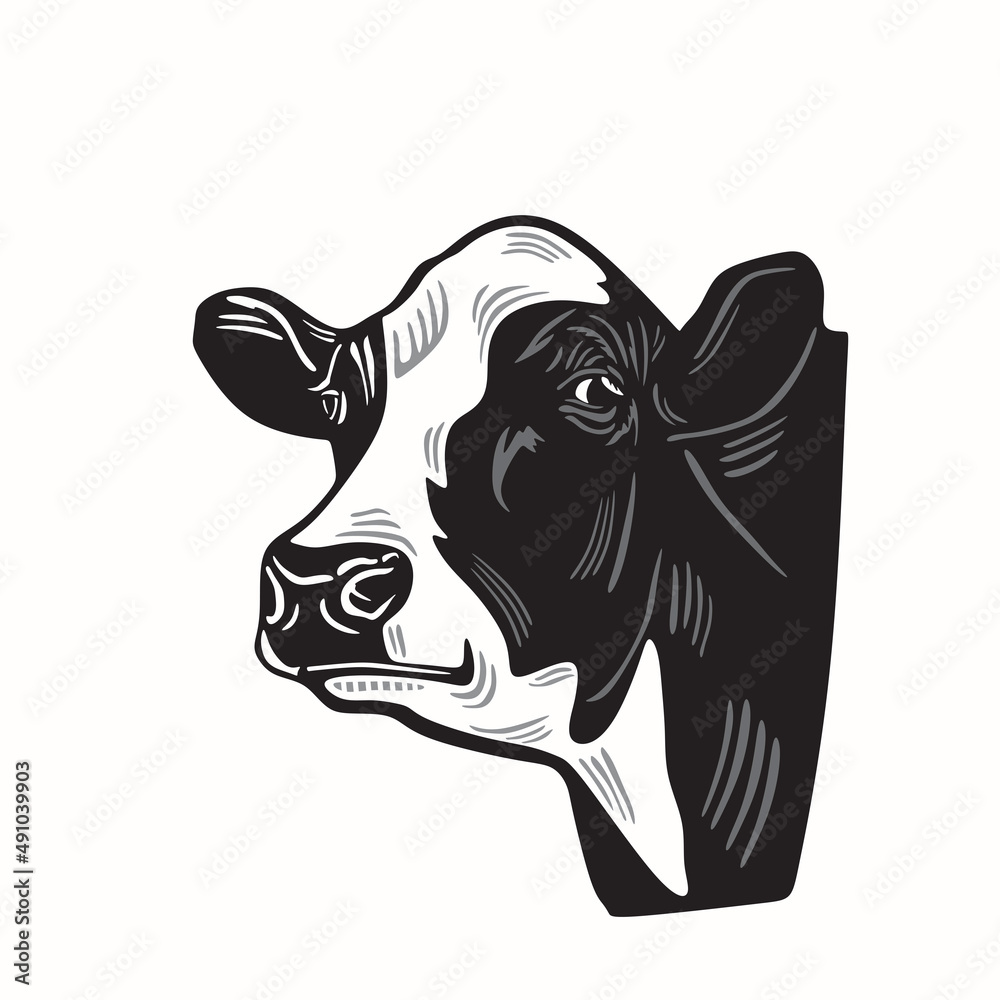 holstein cow logo, great silhouette of breed cattle vector illustration