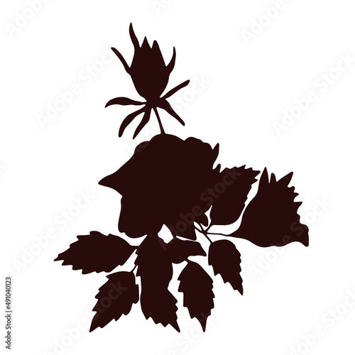 Digital silhouette of beautiful rose