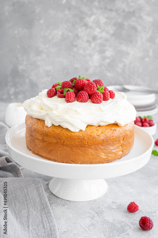 Tres leches cake with whipped cream and fresh raspberries on top of a gray concrete background. Traditional cake from Latin America. Copy space.