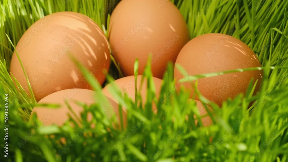 Chicken egg, rotation shot, Chicken fresh raw eggs.Healthy fresh food ingredients for breakfast. Animal products. Grocery. Chicken farm fresh eggs Chicken egg, rotation shot, Chicken fresh raw eggs.Healthy fresh food ingredients for breakfast. Animal products. Grocery. Chicken farm fresh eggs